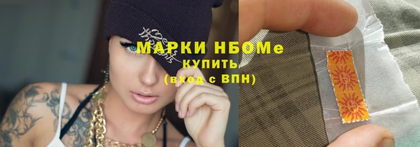индика Алексин