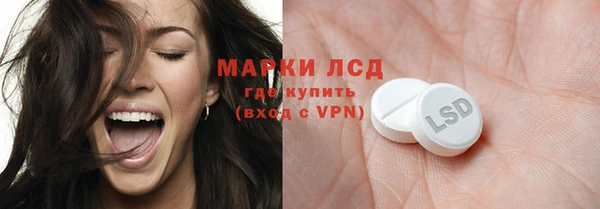 индика Алексин