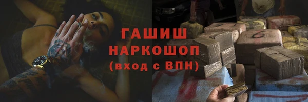 индика Алексин