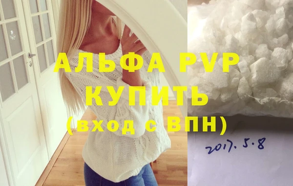 индика Алексин