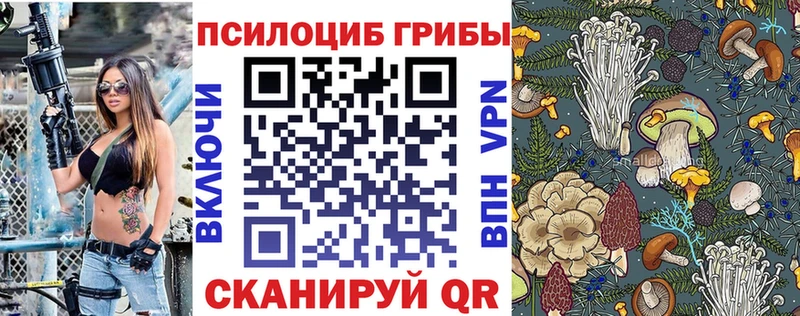 Галлюциногенные грибы Psilocybine cubensis  наркошоп  Среднеколымск 